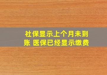 社保显示上个月未到账 医保已经显示缴费